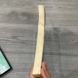 Alice ở xứ sở diệu kỳ và ở xứ sở trong gương 1029456