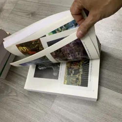 Mỹ thuật vùng miền việt nam. Combo 6 cuốn. 12a1 759912