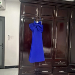 Dạ hội dại đuôi cá 