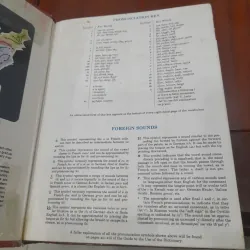 WEBSTER'S NEW WORLD COLLEGE DICTIONARY 751044