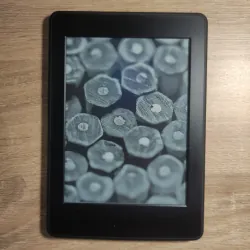 Kindle Paperwhite 3 762450