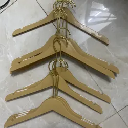 10 mócquần áo nhựa 1023315