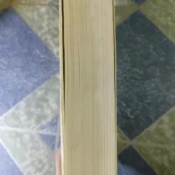 Án lệ Việt Nam - Nguyễn Hòa Bình 748563