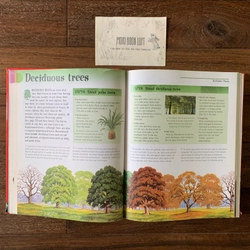 Sách ngoại văn The Big Book of Knowledge, Used, Bìa cứng, Siêu dày 542211