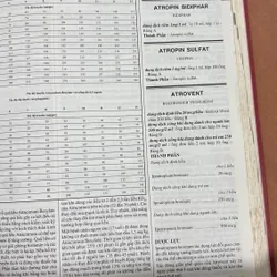 Vidal Việt Nam 2003 🌊 718558