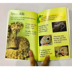 Sách - Usborne Beginners nature 10 cuốn full boxser, full color, usborne nature 1034037