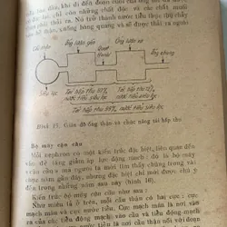 Tuổi già và thận, Tiến sĩ y khoa Hoàng Tuấn 709386