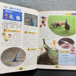 Mua 1 tặng 1 - [Tiếng Trung] Bộ sách Noddy 自然博物館 – Tự nhiên học cho bé 933951