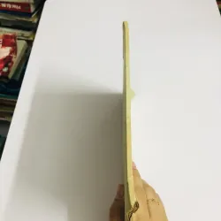 THÂN THẾ VÀ THI CA HỒ XUÂN HƯƠNG – Bà Chúa Thơ Nôm 1950 752785