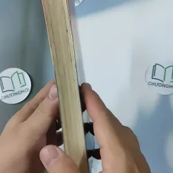 [XƯA] Ly Hôn (1997) 798394