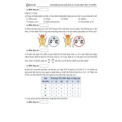 Sách 2026 - 45 Đề Minh Họa KHTN Thi Vào Lớp 10 925910