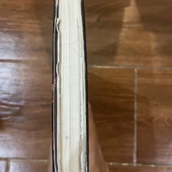 Đêm núm sen - Trần Dần (1) 730555