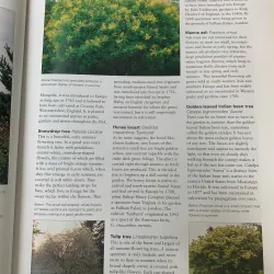 TREES OF THE WORLD (CÂY CỐI TRÊN THẾ GIỚI) - RUSSELL, CUTLER & WALTERS 795877