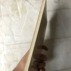 Đại Bàng Có Khi Bay Thấp Hơn Gà - Trương Thiết Thành 757226