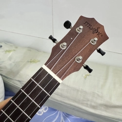 Đàn Ukulele Gỗ chính hãng size concert basic 494139