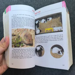 Từ điển tranh về các con vật 592501