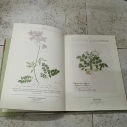 The Frampton Flora - Richard Mabey 934529