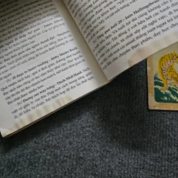 Tuổi trẻ đáng giá bao nhiêu 736624