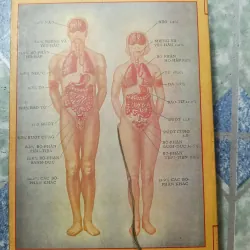 Những phương thuốc hay - các toa thuốc rượu và thuốc cao - Lương Y Võ Kim Đồng 975130