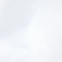 Chân váy CECILIE BAHNSEN - Hàng hiệu Authentic 825449