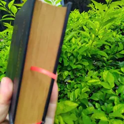 Sự phát triển của tư tưởng Việt Nam từ thế kỷ XIX đến cách mạng tháng Tám  960455