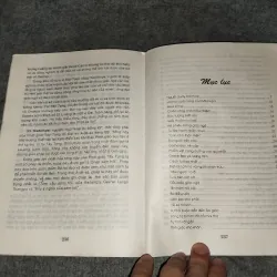 SƯ TỬ TUYẾT BỜM XANH 570802