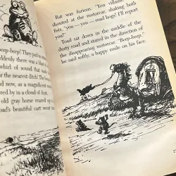 The Wind in the Willows (Scholastic Junior Classics) 972838