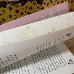 Hoàng Hôn Rơi Xuống - Ekuni Kaori 542219
