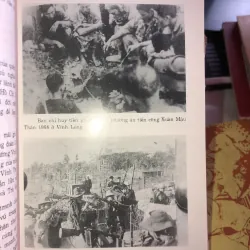 Vĩnh Long - Tổng tiến công và nổi dậy xuân Mậu Thân 1968 1020595