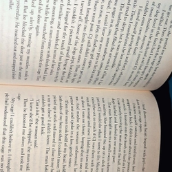 MOLLY'S STORY - W.BRUCE CAMERON 473024
