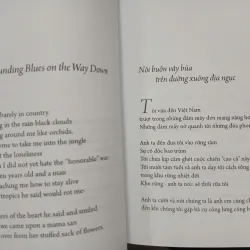 SAU MƯA THÔI NÃ ĐẠN - AFTER THE RAIN STOPPRED POUNDING 593337