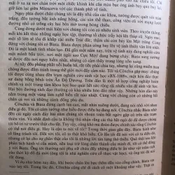 Gió vĩnh cữu - Xéc gây Giê mai chi xơ 1006631