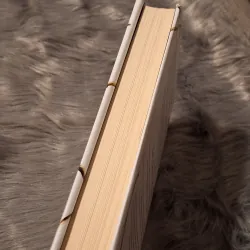 Holly Black - The Cruel Prince (Hardcover) 783206