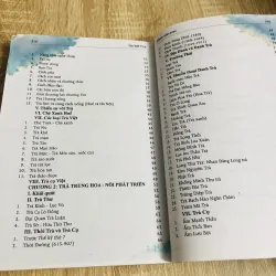 LỤC BÁT TRÀ – Phạm Văn Sau 929276