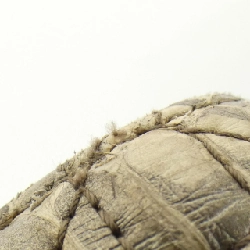 Túi Christian Dior Lady Dior M0505OELC 619314