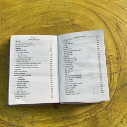 BÔNG HỒNG VÀNG VÀ BÌNH MINH MƯA- KONXTANTIN PAUXTOPXKI 782461