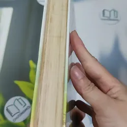 [MIỄN PHÍ BỌC SÁCH] [SEAL] Tâm Hồn Cao Thượng - Edmond de Amicis 990528