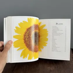 Từ điển màu Pocket visual dictionary mới 99.9% 791726
