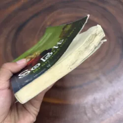 [Có Mốc Và Ẩm Nhẹ] - SoB.It, Bí Ẩn Một Cái Tên - SARAH WEEKS - 2011 977188