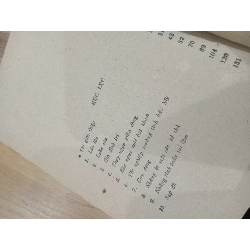 Hai mươi mùa xuân thầm lặng - Mai Thanh Hải 567786