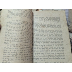 CÁNH HOA RỰC LỬA 132584