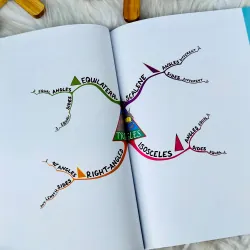 Bộ sách Mind maps for kids - Tony Buzan (3 cuốn) 732971