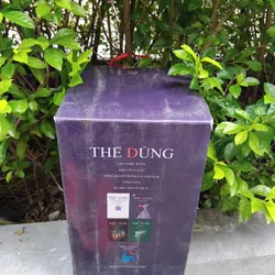 Tuyển tập tiểu thuyết và kịch của nhà văn Việt kiều Thế Dũng 704162