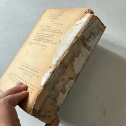 Thơ văn yêu nước và cách mạng đầu thế kỷ 20 739312