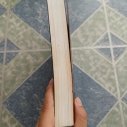 Vòng xoáy chết - Suzuki Koji 510042