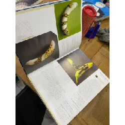 Creative Extremes : The World’s Most Amazing Creative Projects 553314