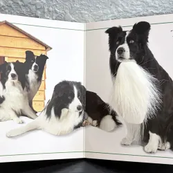 Board book sờ chạm - Touch and Feel: Farm (DK) 995012