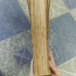 Mưu Lược Và Chiến Thắng - Phùng Lập Ngao 608779