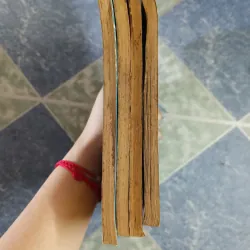 Lý Tiểu Long võ công toàn thư - Lạc Việt & Phạm Xuân Thảo 726626