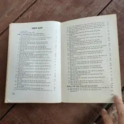 Mã pháo tàn cuộc sát chiêu 1032727